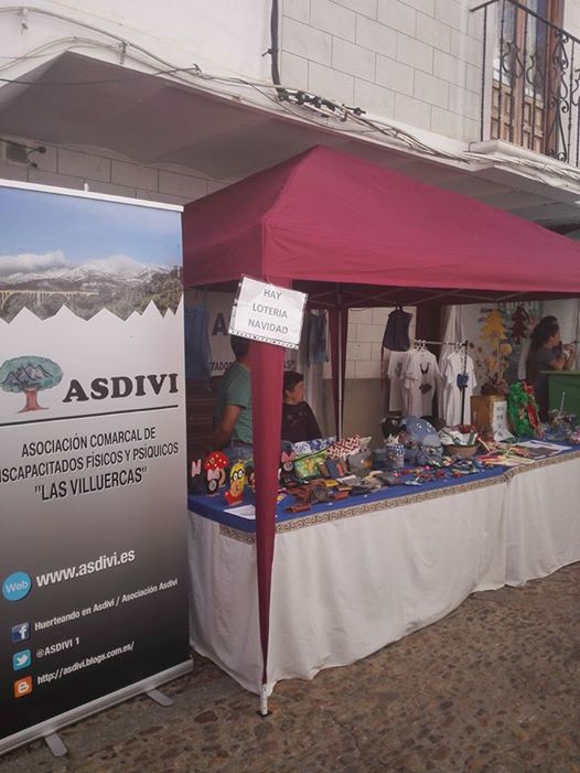 mercado-artesanal-de-guadalupe-2-2016