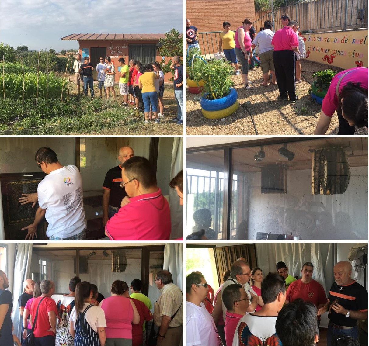 Visita a La Casita de la Miel de Cañamero julio 2019