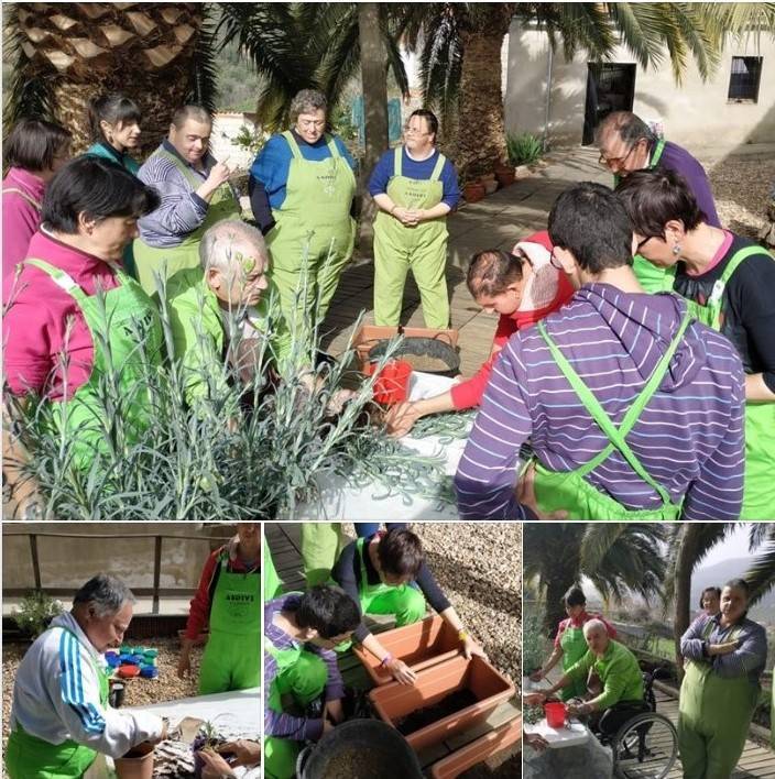 Taller de floristería febrero 2020