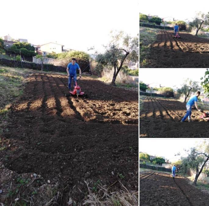 Preparado el terreno para sembrar (2020)