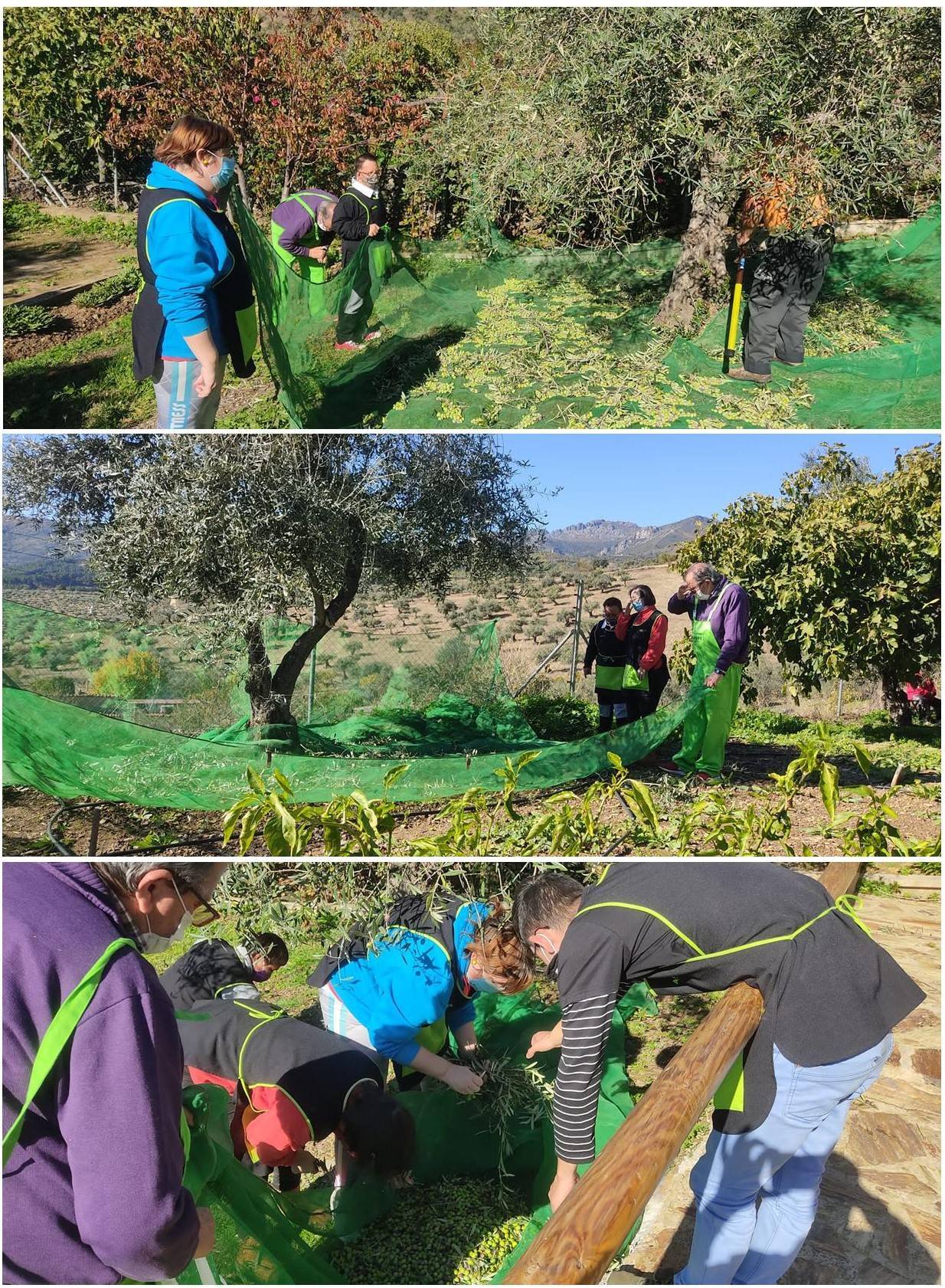 ¡Nuestro taller de huerto ecológico no para! (2021)