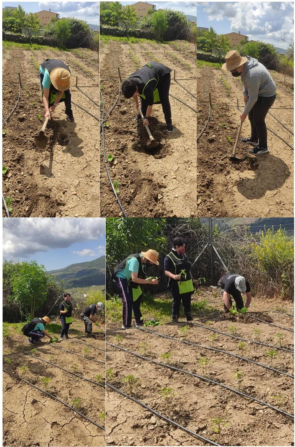 Plantando en nuestro taller de huerto (2022)