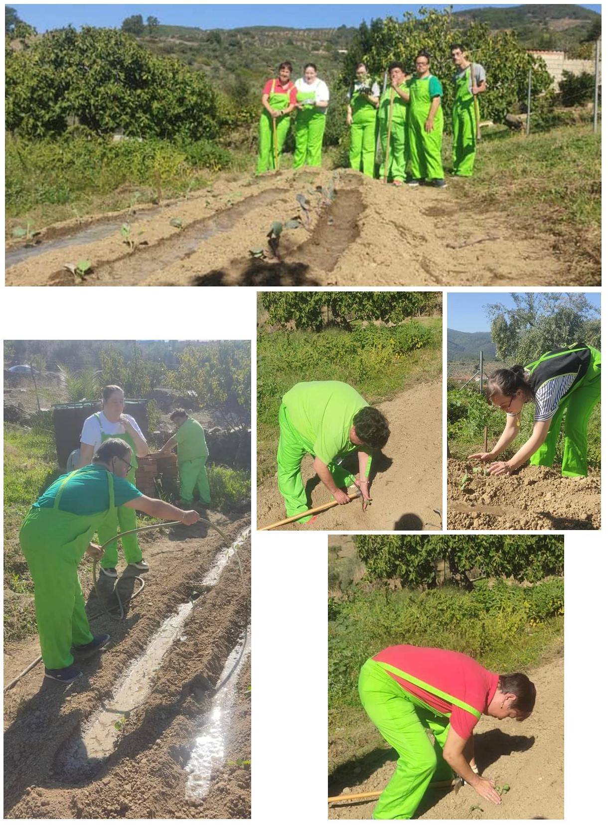 Preparación del huerto y realización de plantaciones de invierno (2023)