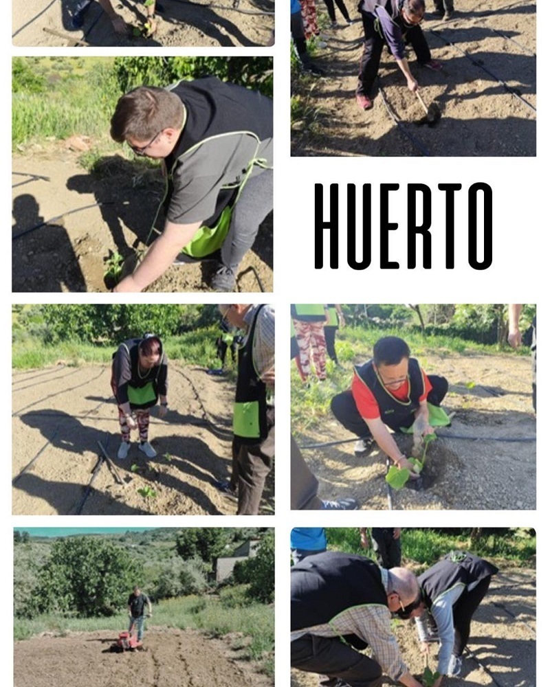 Avanzamos en la actividad del huerto (2025)