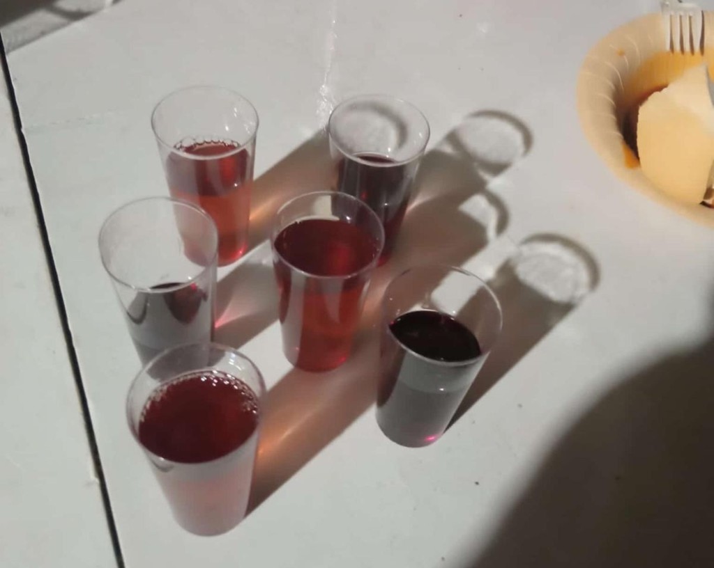 Agradecimientos a la organización del II Certamen de Vino de Pitarra 3