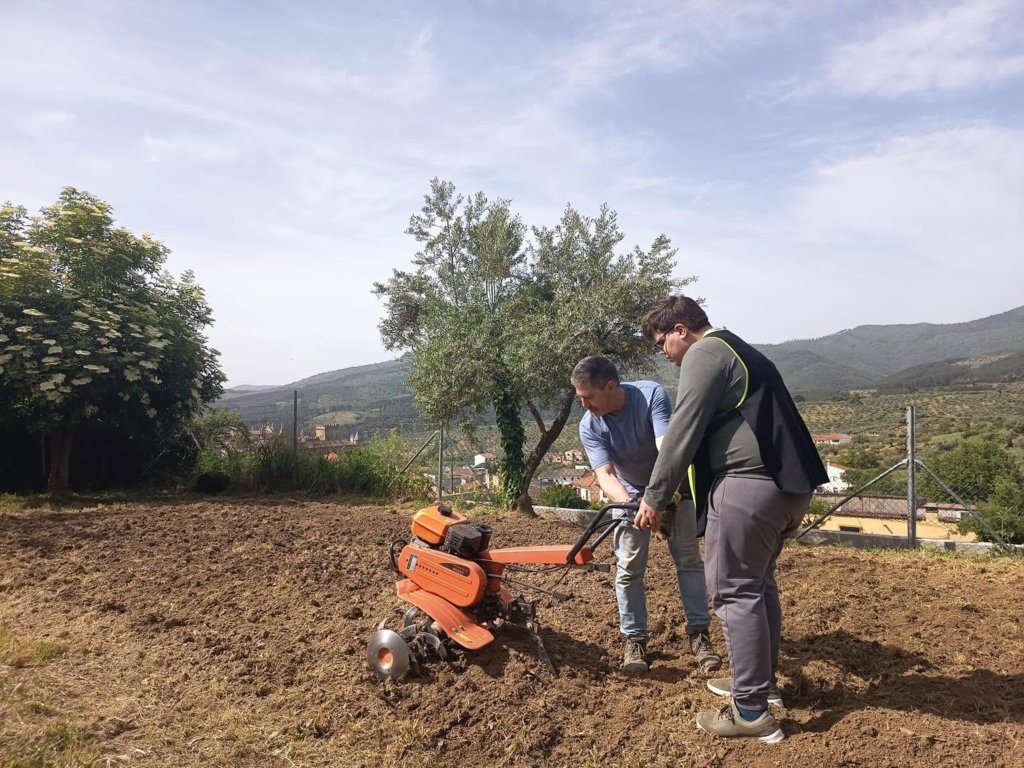 Preparando el terreno para el huerto (2026) 1