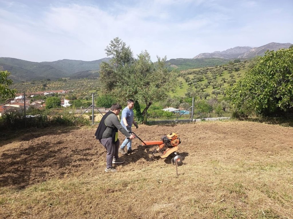 Preparando el terreno para el huerto (2026) 2