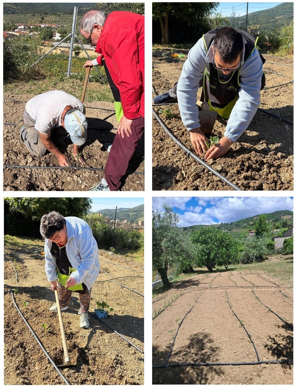 Trabajando a tope en nuestro huerto (2026)